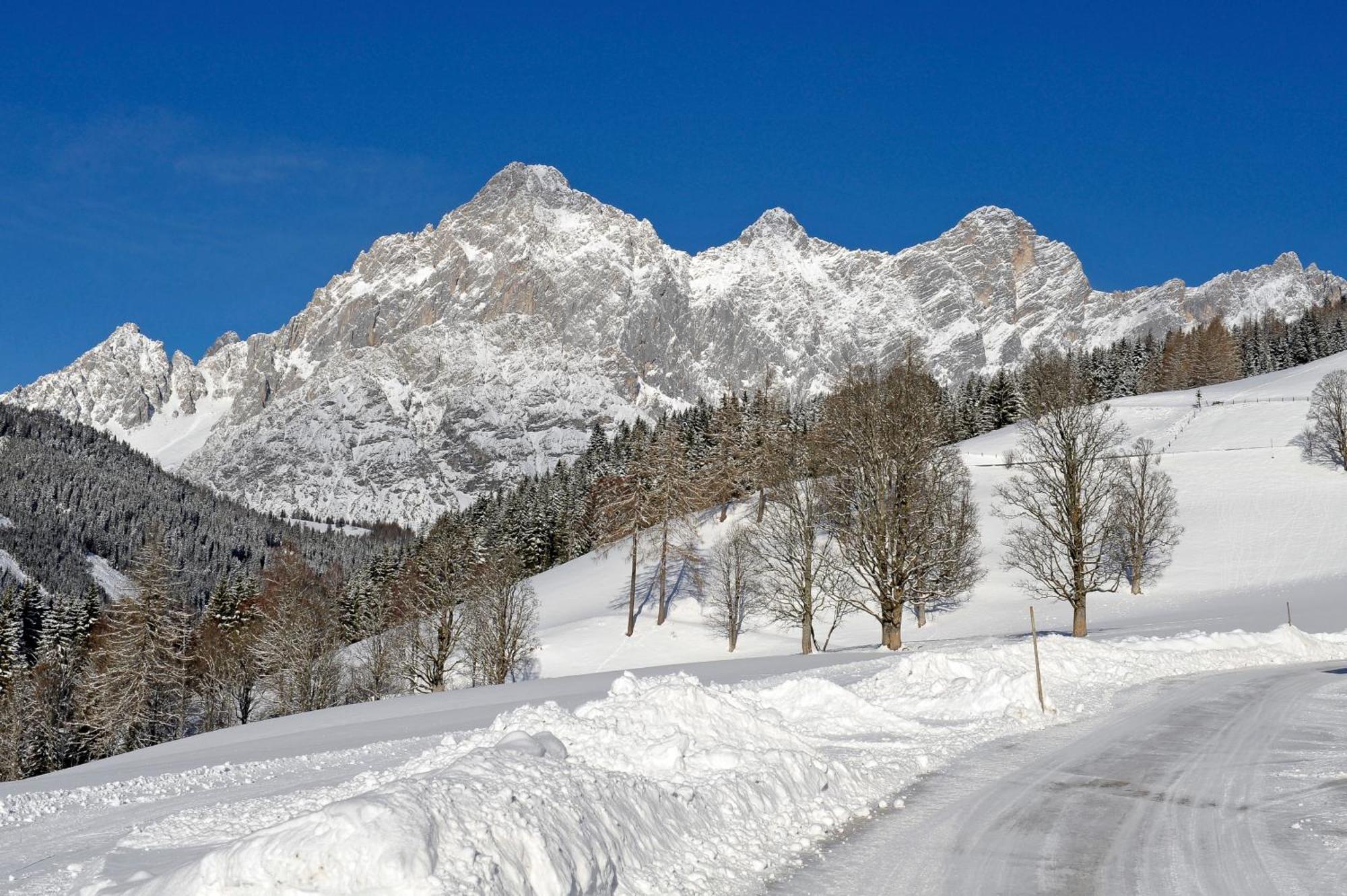 Bergerhof Ramsau am Dachstein