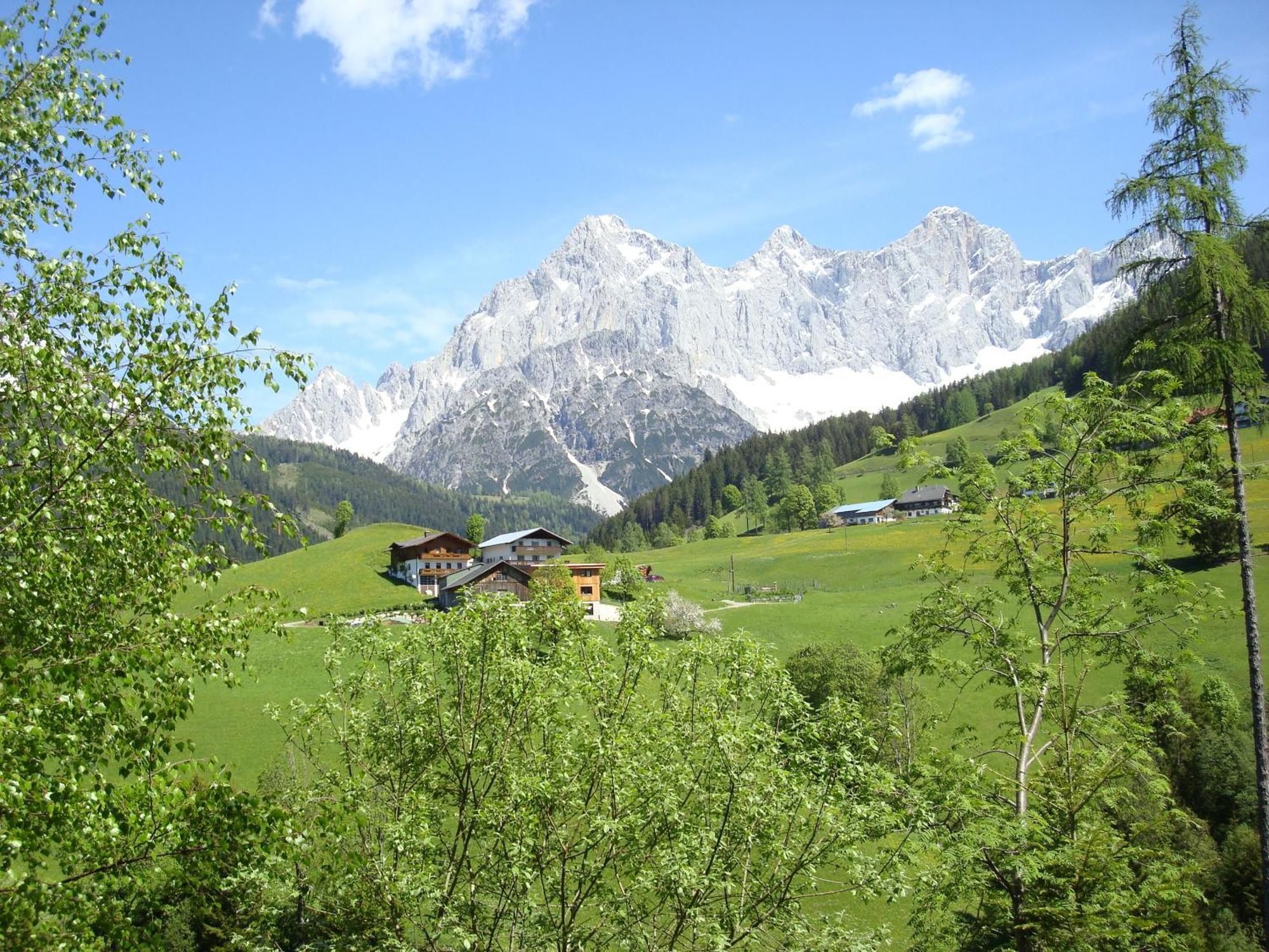 Bergerhof Ramsau am Dachstein